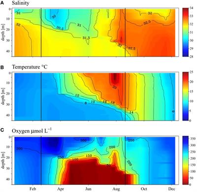 Pathways of methane removal in the sediment and water column of a seasonally anoxic eutrophic marine basin